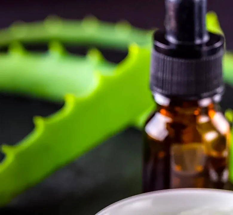 The Hidden Step Dermatologists Quietly Recommend for Aloe Vera in Skincare