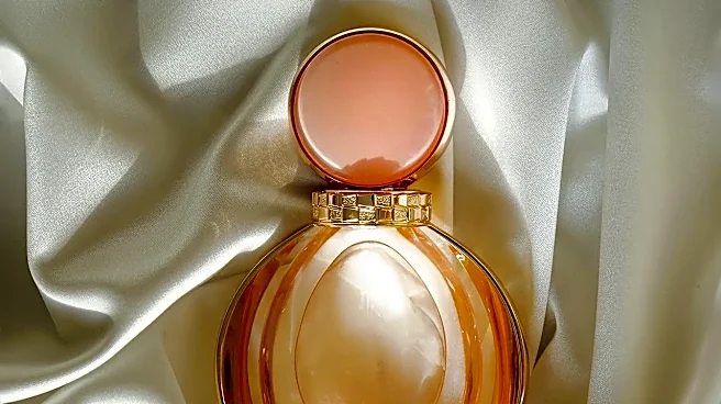 The Hidden Note Behind Perfume Wardrobe Basics
