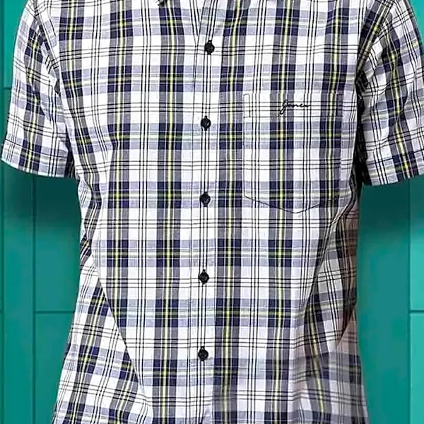 What the Button-Down Shirt Looks Like in Mid-Range vs. Premium Brands