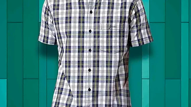 What the Button-Down Shirt Looks Like in Mid-Range vs. Premium Brands
