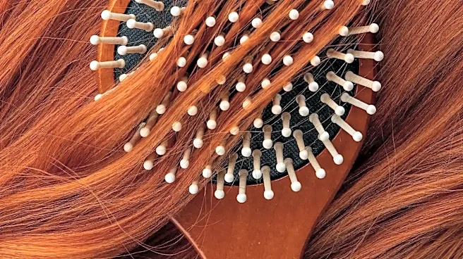 The Real Reason Stylists Disagree About Wet Brushes vs. Dry Brushes