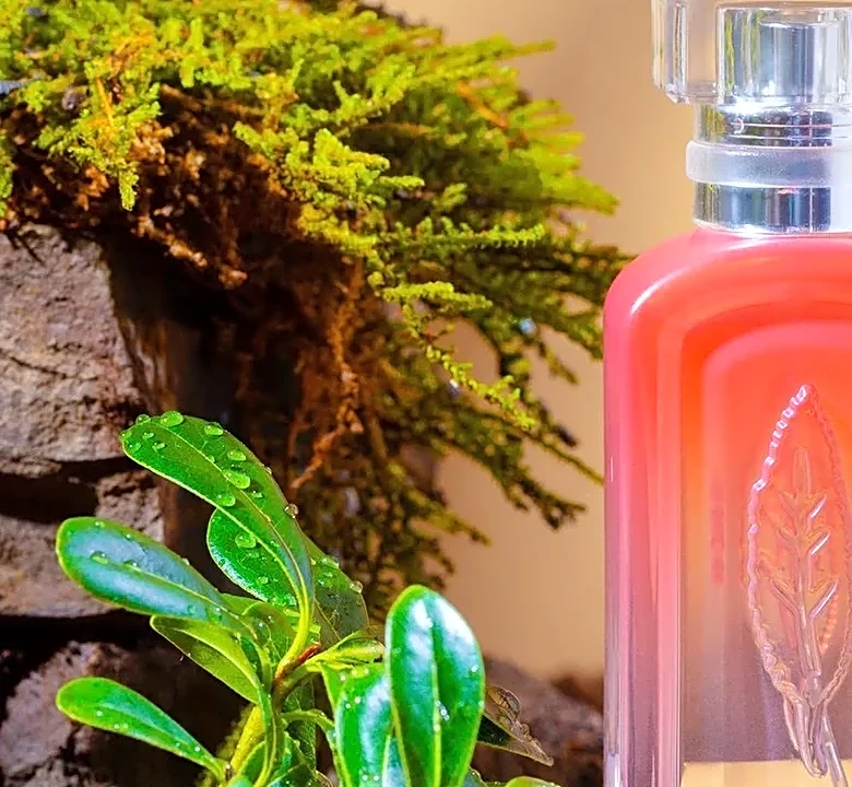 The Hidden Note Behind Fougère Fragrances