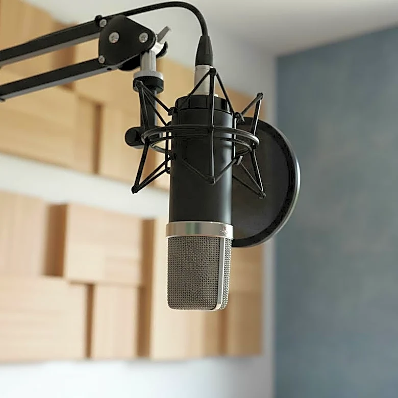 How Celebrity Voice Casting Gives Animated Movies Instant Recognition