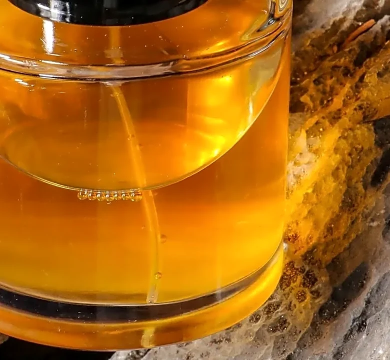 Why Most Americans Misread Byredo Bal d'Afrique Compared with Similar Fragrances
