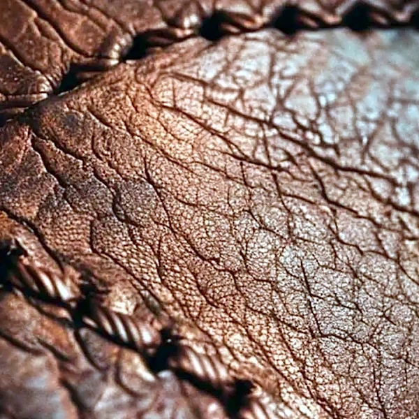 Where to Find Quality Exotic Leathers in America