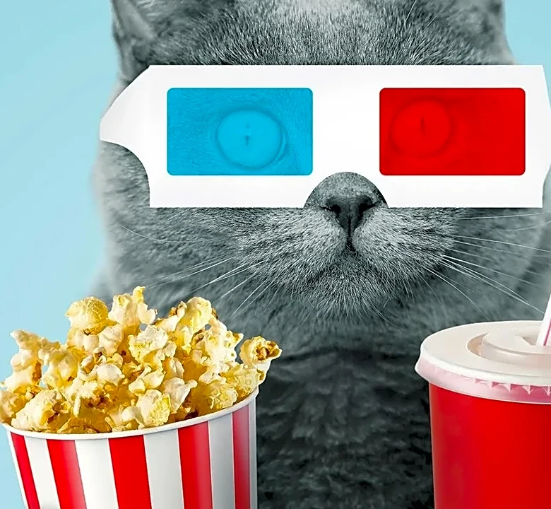 Why Lighthearted Summer Movies Can Be So Rewatchable