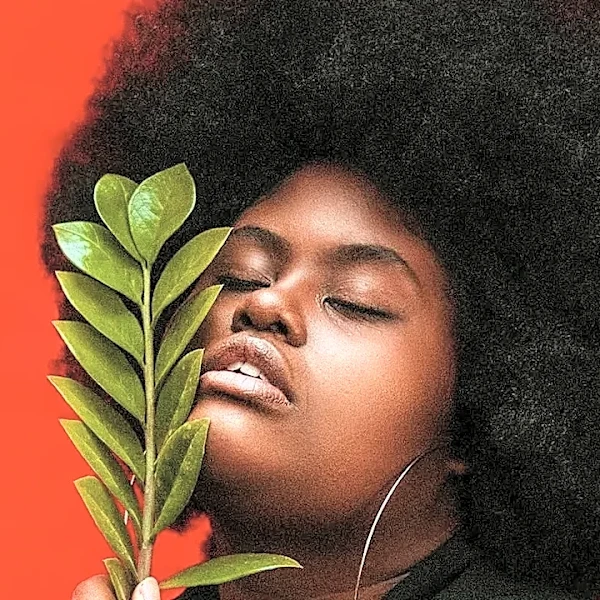 Why Most Americans Misread Natural Hair Care for Black Women
