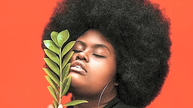 Why Most Americans Misread Natural Hair Care for Black Women