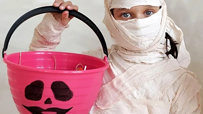 The Real Reason Budget-Friendly Halloween Costume Planning Trips Up First-Time Shoppers