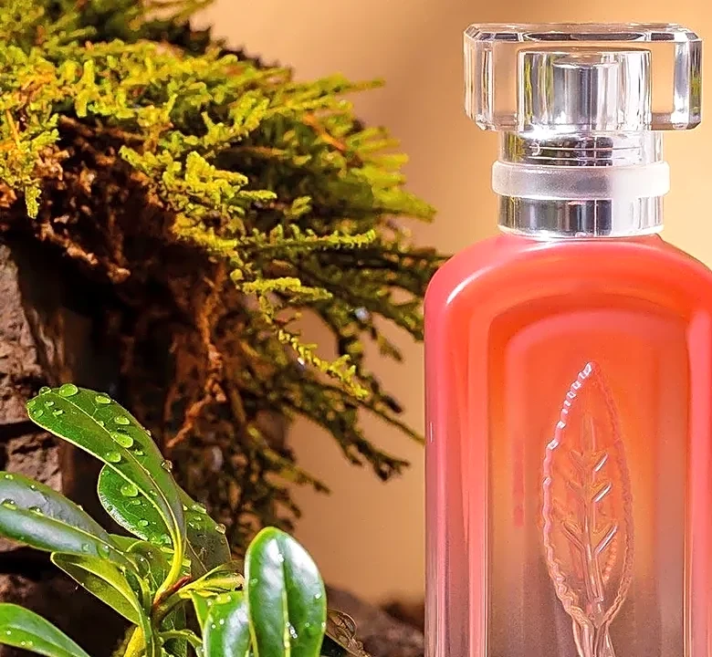The Hidden Note Behind Diptyque Do Son Compared with Similar Fragrances