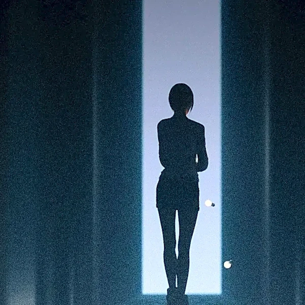 The Black-and-White Wardrobe Detail That Tracks Marion Crane’s Theft in Psycho
