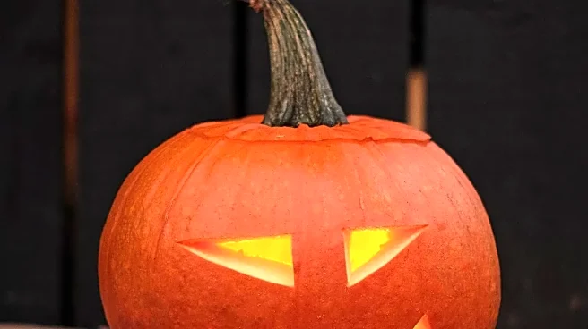 Why Overdesign Can Hurt a Halloween Horror Nights House More Than a Sparse Set