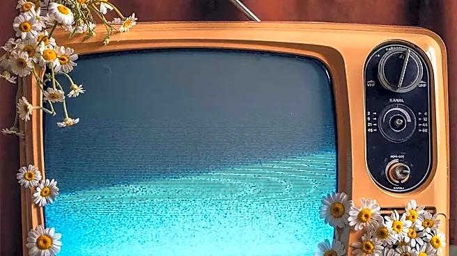It’s Fine to Wait on a Buzzy Fall TV Show Until Its Renewal Picture Gets Clearer
