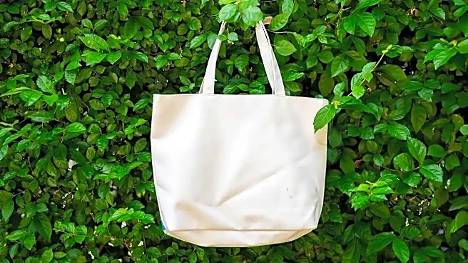 9 Bag Durability Clues That Set Better Canvas Tennis Totes Apart