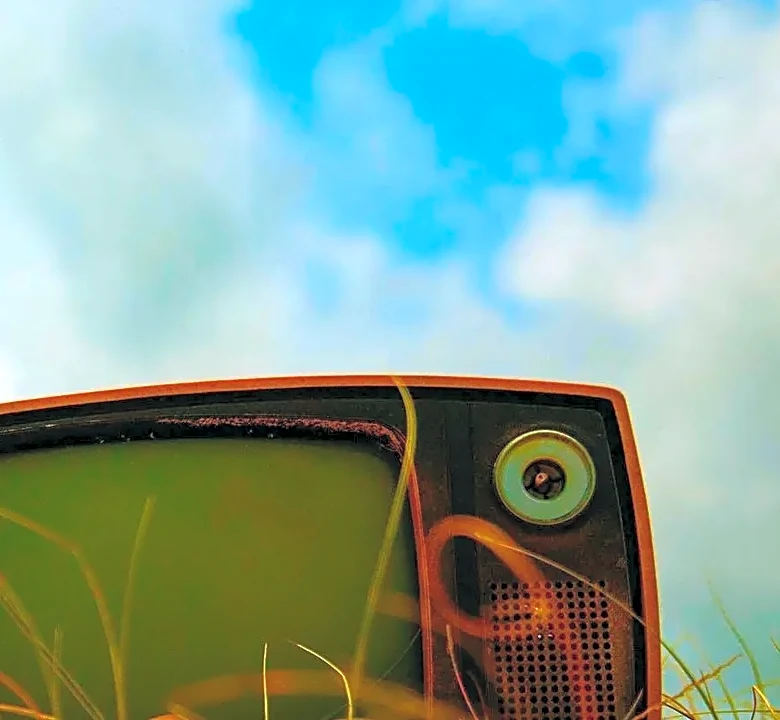 Limited Series vs. Procedural: Two Different Kinds of Flexibility for TV Networks