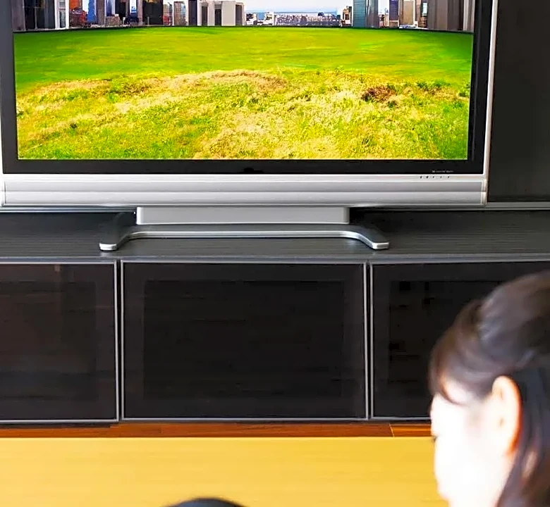 A Two-List Watchlist System for Prioritizing Spoiler-Sensitive Fall TV