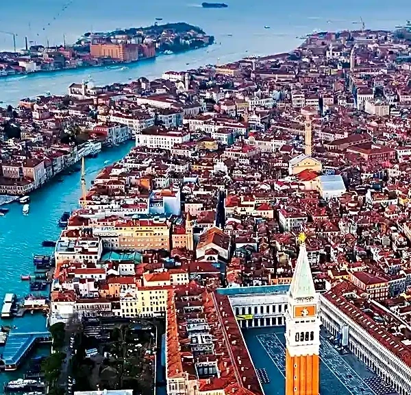 How Distribution Deals Can Take Shape Around a Venice Film Festival Premiere