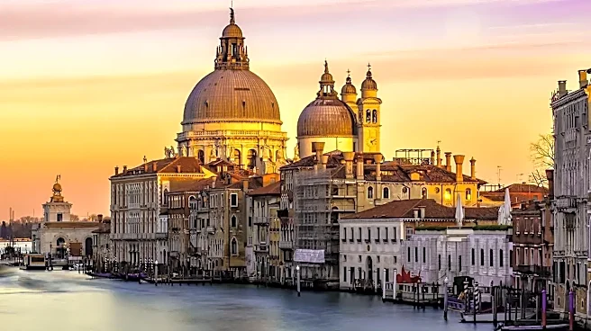 How Venice Balances Hollywood Heavyweights With International Auteur Cinema