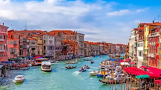 What Box-Office Analysts Can—and Cannot—Learn From a Huge Venice Reception