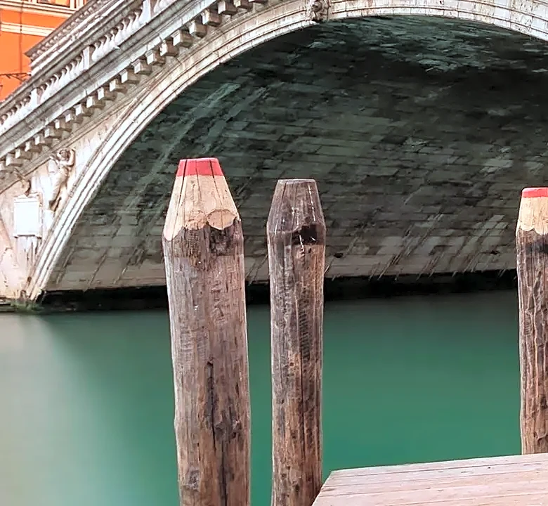 The Hidden Career Infrastructure Behind a Venice Breakthrough
