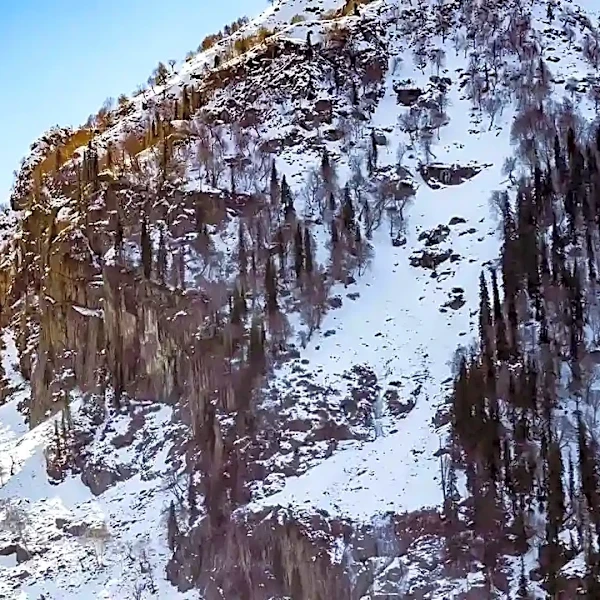 Why Following the Crowd Can Be the Wrong Telluride Strategy