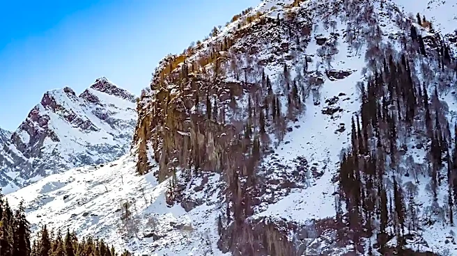 Why Following the Crowd Can Be the Wrong Telluride Strategy