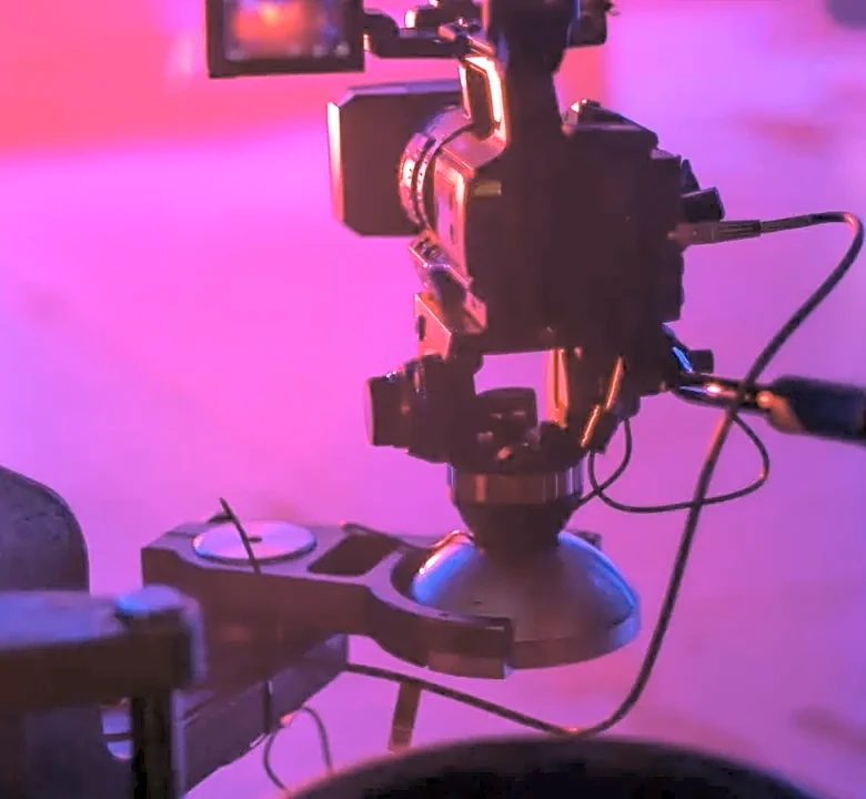 How Background Actors Make Movie and TV Worlds Feel Real