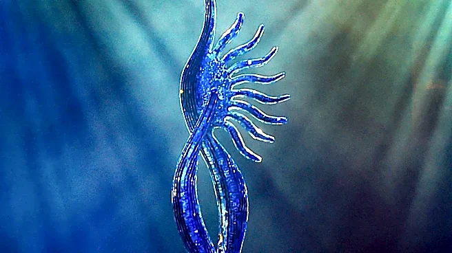 How Short-Form Television Changes the Creative Arts Emmys Storytelling Equation