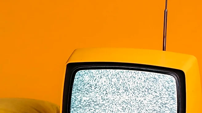 Why TV Comedy Could Benefit From Longer Seasons Again