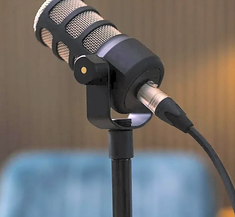 Why Some Successful Podcast Stories Are Stronger When They Stay Audio-Only