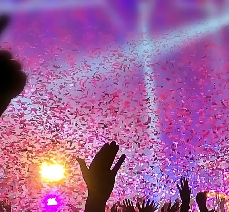 Why a Flawless Vocal Isn’t the Only Measure of a Great Festival Set