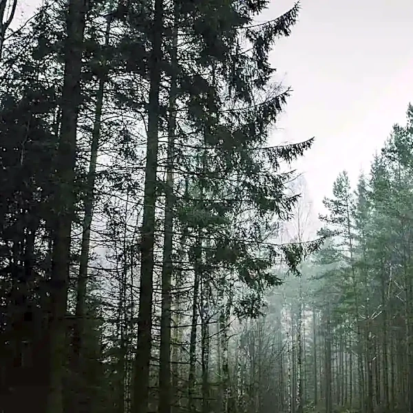 The Sound-Design Techniques That Make Thrillers Feel Unsettling