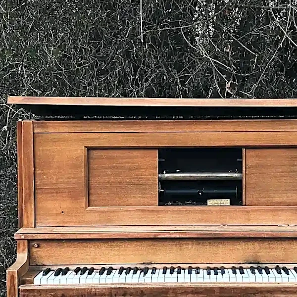 How Strong Americana Songs Keep Heartbreak From Feeling Clichéd