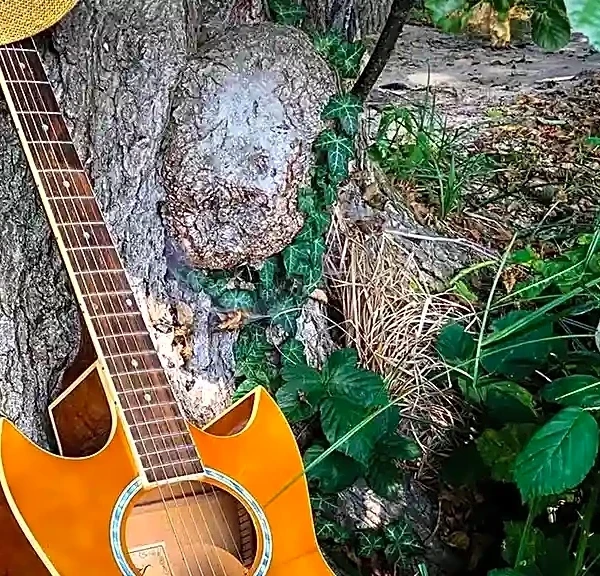 Why It’s a Myth That Americana Is Just Alternative Country