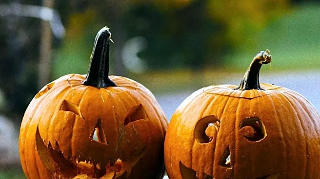 Why Runtime Freedom Can Help — and Hurt — a Halloween Episode