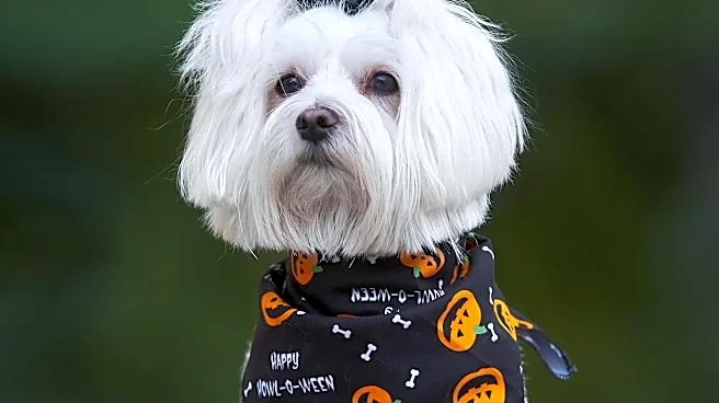 How Sound Design Can Make a Halloween Episode Feel Bigger Without Showing More