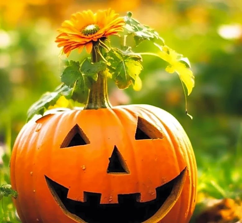 Why Halloween Episodes Can Feel Bigger Than Regular Installments