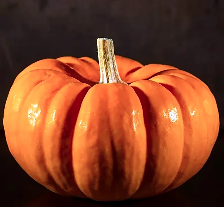 How to Find Halloween TV With Gothic Schools and Dark Academia