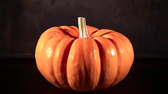 How to Find Halloween TV With Gothic Schools and Dark Academia