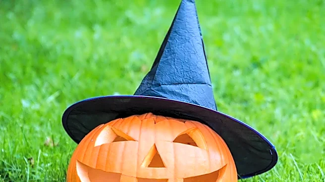 How to Pick Halloween Movies and TV Shows While Decorating the House