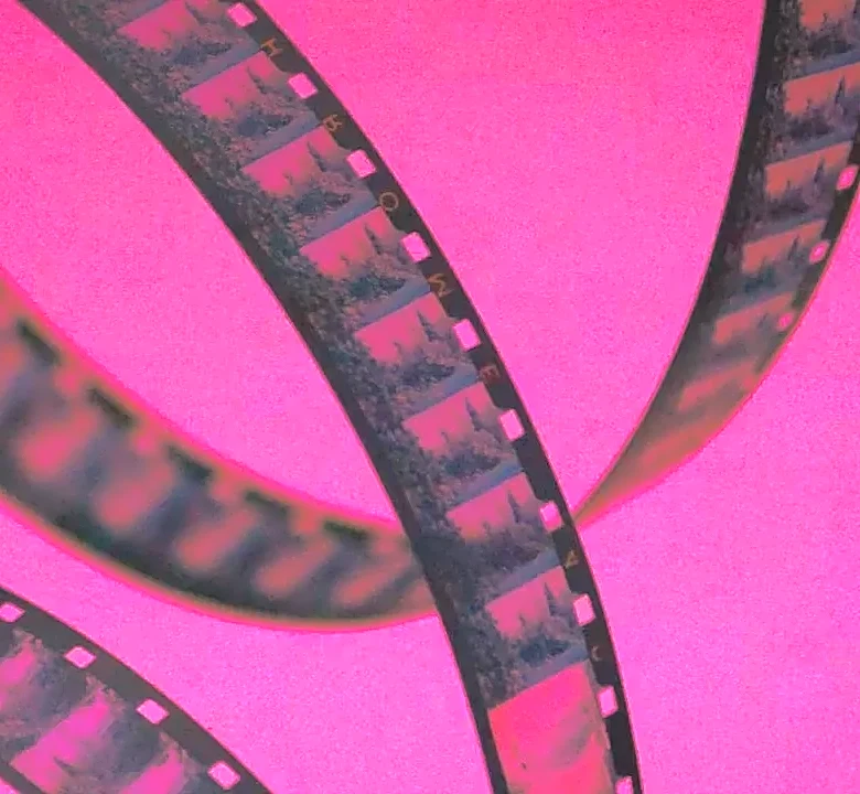 5 Films Like American Fiction You'll Wish You'd Found Sooner