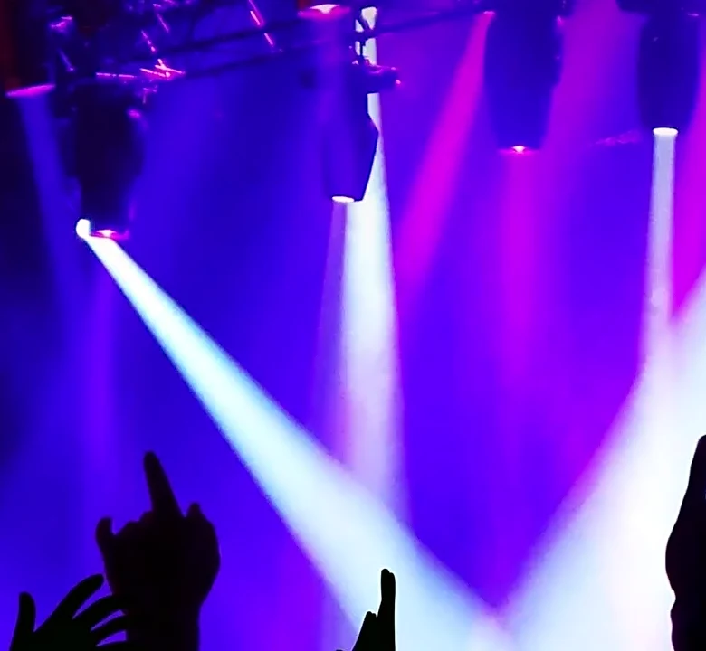 The Festival Bag Setup That Makes Austin City Limits Easier