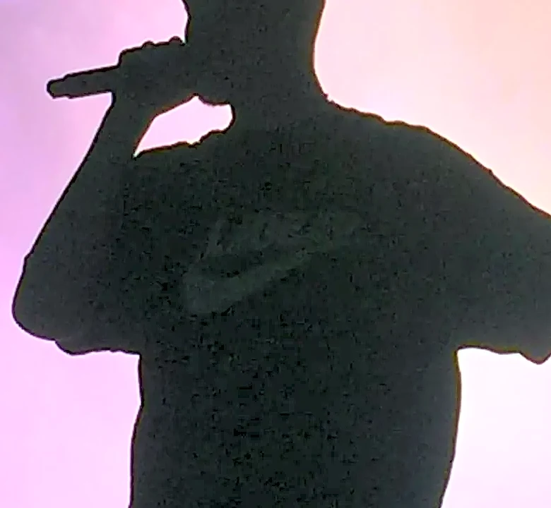 How Color and Silhouette Can Help Festival Performers Read From a Distance