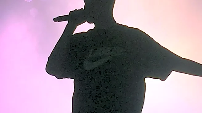 How Color and Silhouette Can Help Festival Performers Read From a Distance