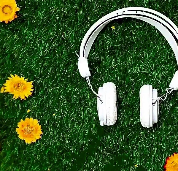 How to Build a Relaxing Post-ACL Fest Playlist