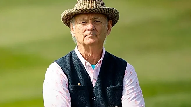 10 Underrated Movies That Match the Vibe of Bill Murray