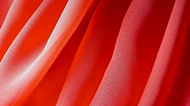 The Difference Between Cupro, Viscose and Polyester Lining
