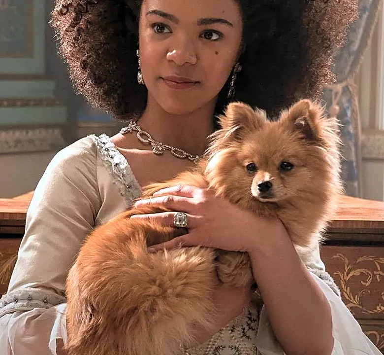 7 Movies to Watch If You Love Hamilton’s Mix of History, Ambition and Reinvention