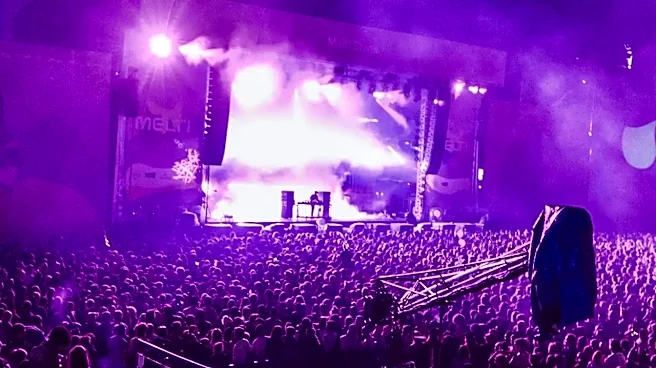 Why Tyler, the Creator Made Camp Flog Gnaw More Than a Music Festival