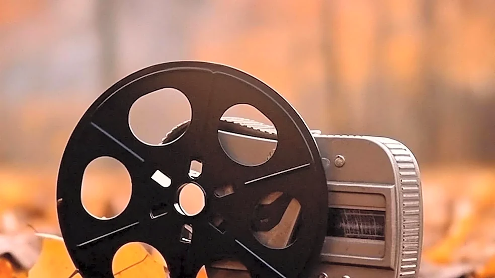 Why Horror Fans Rewatch the Same Halloween Movie Every Year